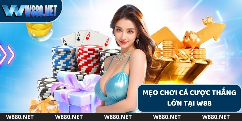 Kinh nghiệm chơi cá cược tại W880